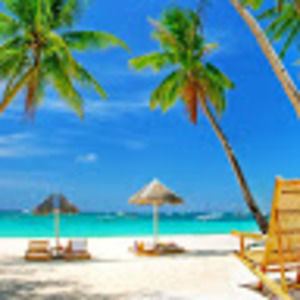 Meet your Posher, Barb